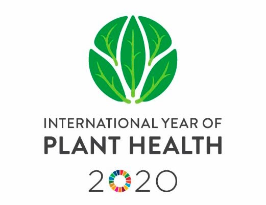 International year of Plant Health 2020